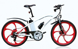 Electric Mountain Bike