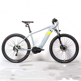 FZYE Electric Mountain Bike FZYE Electric Bikes, 36V14A aluminum alloy Bicycle 250W Double Disc Brake Bikes Adult Sports Outdoor, Gray