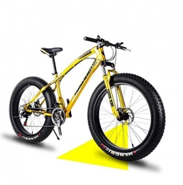 CJH Bike CJH Offroad, Outdoors Sport, Variable Speed, Fat Tire Mountain Bike Mens, Beach Bike, Double Disc Brake 20 inch Bikes, 4.0 Wide Wheels, Adult Snow Bicycle, Metallic, 24Speed