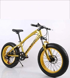 WJSW Bike Fat Tire Mens Mountain Bike, Double Disc Brake / High-Carbon Steel Frame Bikes, Beach Snowmobile Bicycle, 26 inch Wheels