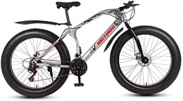 Leifeng Tower Bike Leifeng Tower Lightweight， Mens Adult Fat Tire Mountain Bike, Bionic Front Fork Cruiser Bicycle, Double Disc Brake Beach Snow Bikes, 26 Inch Wheels Inventory clearance (Color : B, Size : 24 speed)