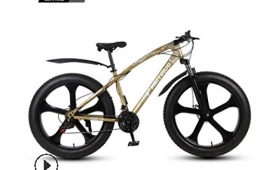 peipei Fat Tyre Mountain Bike peipei 26 inch double disc brake wide tire variable speed adult mountain bike fat bike-15_twenty one