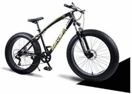 QZ Bike QZ Hardtail Mountain Bikes, Dual Disc Brake Fat Tire Cruiser Bike, High-Carbon Steel Frame, Adjustable Seat Bicycle, Size:26 inch 21 speed (Color : Black, Size : 26 inch 24 speed)