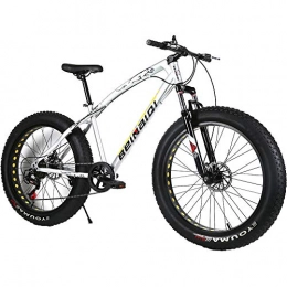 YOUSR Fat Tyre Mountain Bike YOUSR Mountain Bicycles Fat Bike Mountain Bicycles Folding For Men And Women Silver 26 inch 7 speed