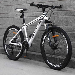 WJSW Bike Adult Mountain Bike, Snowmobile Bikes, Double Disc Brake Beach Bicycle, High-Carbon Steel Frame Bicycles, 24 Inch Wheels