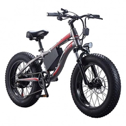 AYHa Elektrische Mountainbike AYHa Erwachsene Strand elektrisches Fahrrad, 250W wasserdichter Motor 20 Zoll 4.0 Fat Tire elektrische Fahrrad-7-Gang Shifter Doppelscheibenbremsen Motorschlitten Wechselakku