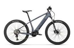 Conor Elektrische Mountainbike Conor E-Bike Borneo E-MTB 29" 11s ebike, grau, XL 530mm