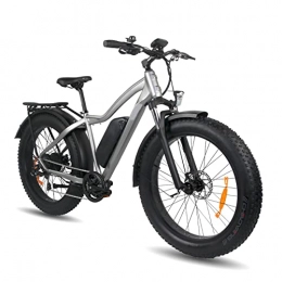 LWL Elektrische Mountainbike elektrofahrrad Elektrische Fahrräder for Erwachsene 25 MPH 750W 26 Zoll Ganzgelände Fettreifen Elektrische Schnee Fahrrad 48V 13AH Li-Ion-Batterie Ebike for Männer (Farbe : Light Grey)