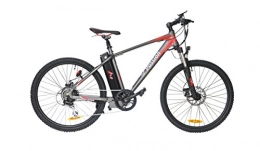 Go4Joy Elektrische Mountainbike Go4Joy E-Mountainebike Passion bis 90km Reichweite und Samsung Akku Zertifiziert