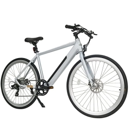 Rymic Elektrische Mountainbike Rymic Infinity 26'' Electric City Bike, Dual Torque Sensor mit abnehmbarem Lithium-Akku für Erwachsene, 21-Gang-Schaltung Elektrofahrrad mit LCD-Meter (Silber Weiß)