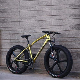 WJSW Fat Tire Mountainbike WJSW Mountainbike-Fahrrad für Erwachsene, 26 & mal; 4, 0-Zoll-Fat-Tire-MTB-Fahrrad, Hardtail-Rahmen aus kohlenstoffhaltigem Stahl, stoßdämpfende Vorderradgabel und Doppelscheibenbremse
