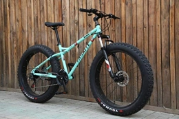 WYN Fat Tire Mountainbike WYN Fat tire Mountain Bicycle 24 / 26 inch high Carbon Steel Beach Bicycle Snow Bike, 26 inch Green, 21 Speed