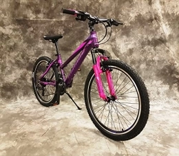 generisch Mountainbike 24 Zoll ALU Damen MTB Gefedert mit 21-Gang Kettenschaltung Shimano Daumenklick Schaltung NEU 2466-LILA-PINK