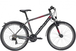 ZEG Mountainbike Bulls Wildtail Street 26 Zoll Herrenfahrrad 18 Gang Kettenschaltung 2020, Rahmenhöhe:37 cm, Farbe:grau