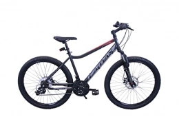 CAMAX Herren Mountainbike 29", matt Dark ash, 29Zoll