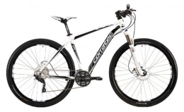 Corratec Mountainbike Corratec Herren Fahrrad MTB X Vert 29 02, Weiß / Schwarz / Blau, 44, BK17029-0044