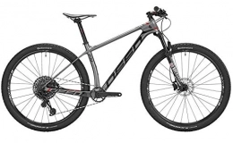 Deed Mountainbike DEED Vector Pro 291 29 Zoll 48 cm Herren 12G Hydraulisch Scheibenbremse Grau