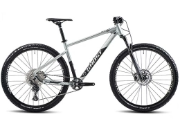 Ghost Fahrräder Ghost Kato Pro Mountainbike (29" | hellgrau / schwarz)