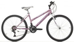 Cicli Cinzia Mountainbike Mountainbike Cicli Cinzia Snake Mädchen, Stahlrahmen, 18 Gang, 24 Zoll, Größe 38 (Pink, Starrgabel)