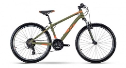 RAYMON Mountainbike RAYMON SevenRay 1.0 27.5'' Kinder MTB Fahrrad grÃŒn 2021: Größe: 38 cm / S