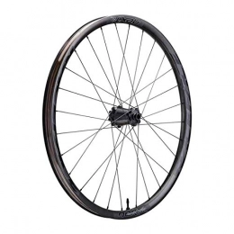 RaceFace Parti di ricambio RaceFace Next-R 36 carbone-29 Boost-Avant 15 x 110 mm Ruota MTB Unisex Adulto, Nero