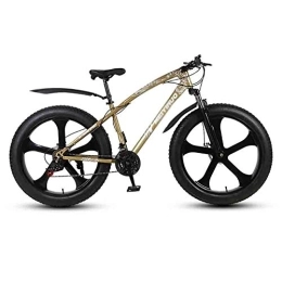 LILIS vélo LILIS Vélo VTT, VTT en Aluminium Vélo VTT Adulte Montagne Vélos Plage Vélo Motoneige Vélos Big Tire for Les Hommes et Les Femmes 26En Roues Double Disque de Frein (Color : Gold, Size : 21 Speed)