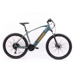 tretwerk DIREKT gute Räder vélo Tretwerk Vélo de montagne électrique 27, 5" Bolt 7 Vert – Vélo VTT Pedelec avec dérailleur Shimano 27 vitesses – Vélo électrique VTT Hardtail avec moteur de moyeu arrière 250 W, 36 V